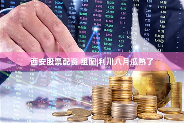 西安股票配资 组图|利川八月瓜熟了