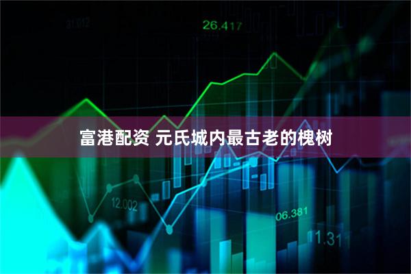 富港配资 元氏城内最古老的槐树