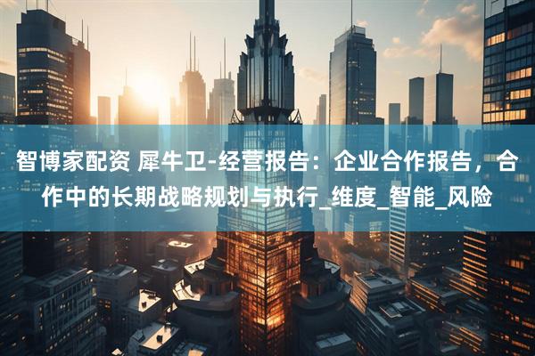 智博家配资 犀牛卫-经营报告：企业合作报告，合作中的长期战略规划与执行_维度_智能_风险