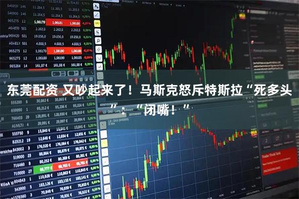 东莞配资 又吵起来了！马斯克怒斥特斯拉“死多头”：“闭嘴！”