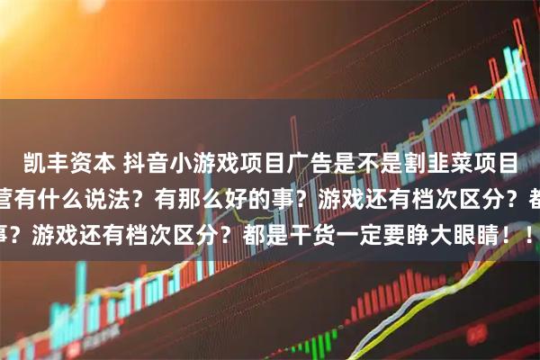 凯丰资本 抖音小游戏项目广告是不是割韭菜项目？保本协议和全程代运营有什么说法？有那么好的事？游戏还有档次区分？都是干货一定要睁大眼睛！！！
